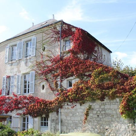 Gite Au Calme Avec Jardin Et Wifi A La Roche-Posay - Fr-1-541-52 Villa Екстериор снимка